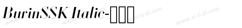 BurinSSK Italic字体转换 BurinSSK Italic字体转换